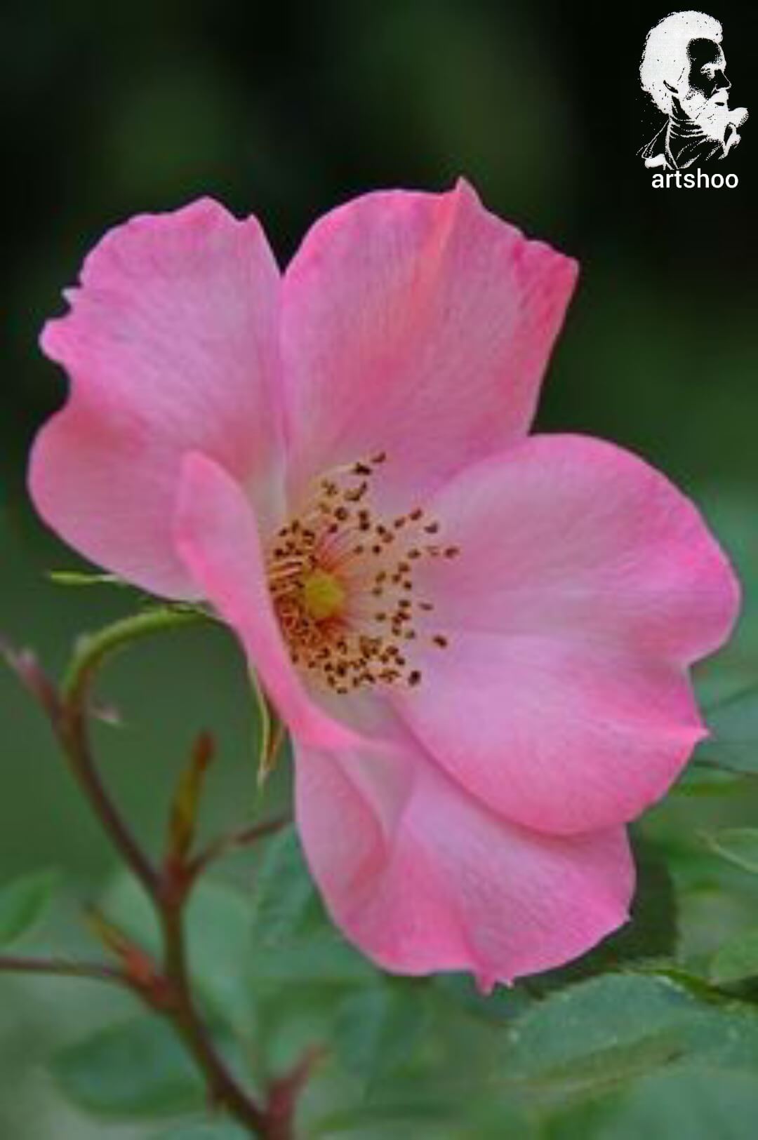 آموزش نقاشی رنگ روغن